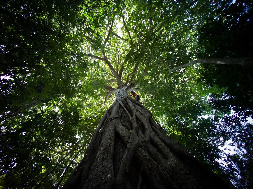 Pousada La Bonita Baía Formosa Exteriör bild