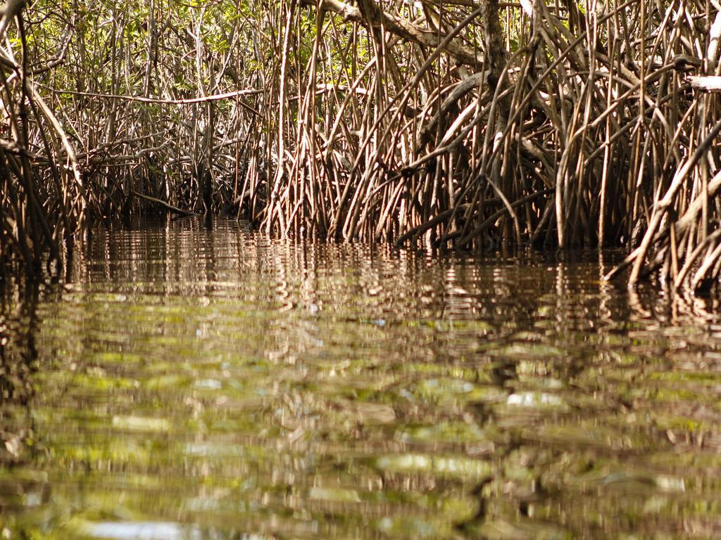 Pousada La Bonita Baía Formosa Exteriör bild